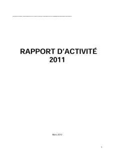 Rapport d'Acitivité 2004
