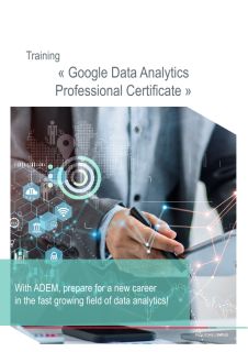 Training « Google Data Analytics Professional Certificate »